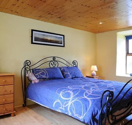 Griffins Holiday Cottage 丁格尔 外观 照片